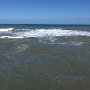 Meet your Posher, Desi